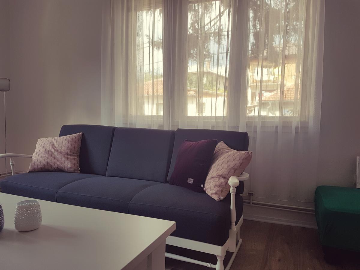 塞拉耶佛Cosy And Chic... Parking Included公寓 外观 照片