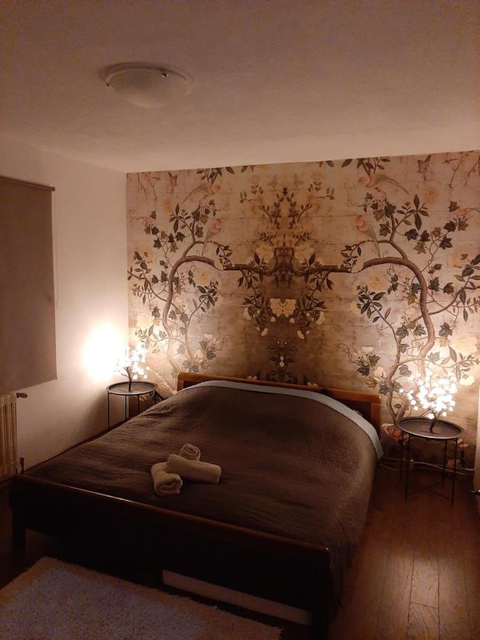 塞拉耶佛Cosy And Chic... Parking Included公寓 外观 照片